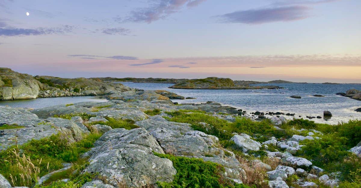 découvrez ftto (fiber to the office), une solution internet ultra-rapide par fibre optique dédiée aux entreprises, offrant performance et fiabilité pour vos besoins professionnels.