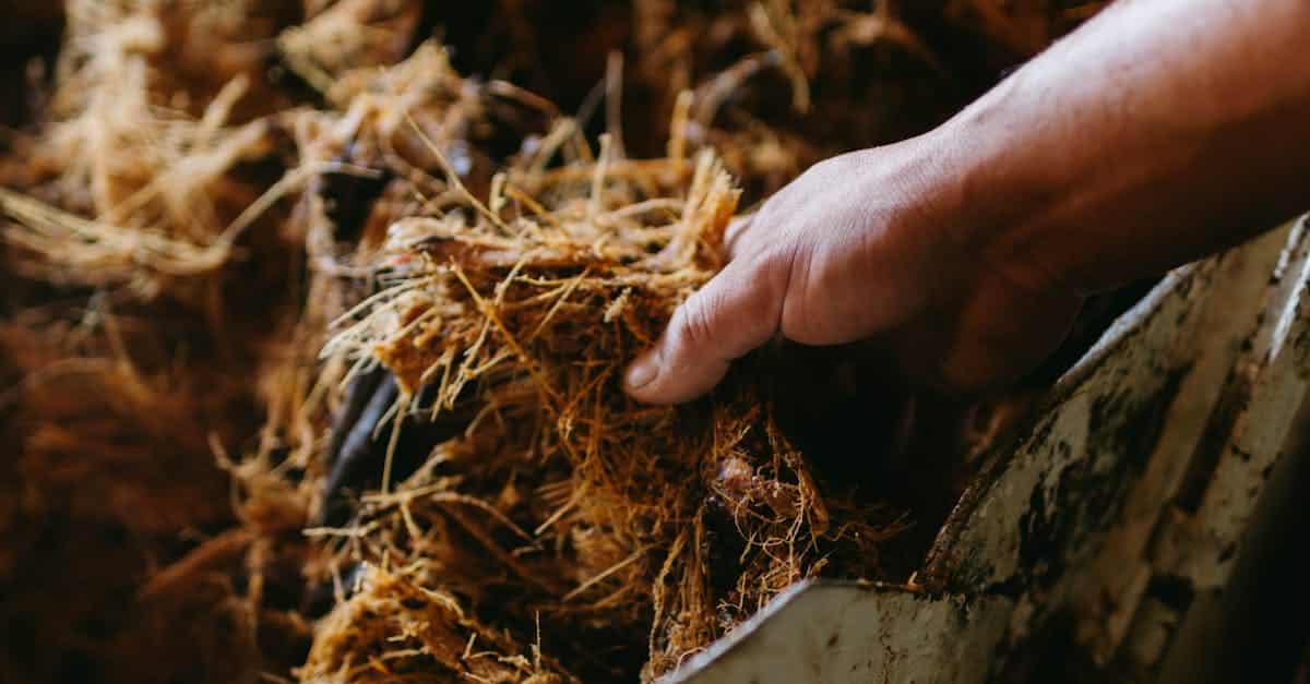 découvrez les dernières tendances de l'artisanat local et comment les savoir-faire traditionnels inspirent les créations modernes.