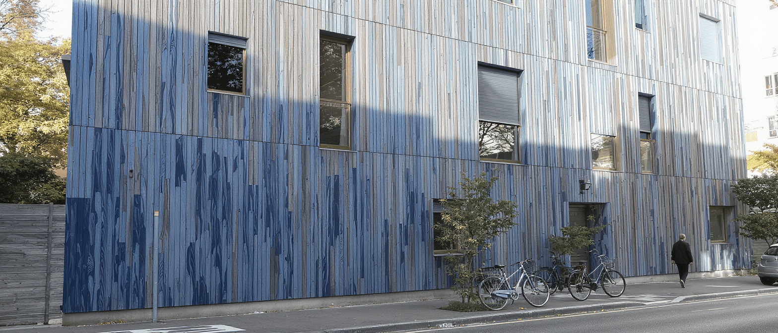 À Lyon, un projet immobilier mise sur le « bois bleu », ce matériau atypique souvent ignoré à cause d’une marque fongique
