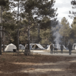 découvrez l'histoire du camping des grands pins à lacanau-océan, qui célèbre 60 ans de résilience face aux défis climatiques et lutte contre la menace croissante des incendies estivaux pour garantir des séjours en toute sécurité.