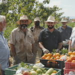 carrefour et coopérative u unissent leurs forces pour soutenir les producteurs de fruits et légumes confrontés à la sécheresse, en proposant des solutions adaptées pour surmonter les difficultés.